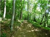 Jesenovo - Črni vrh (Čemšeniška planina)