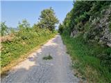 Crveni Vrh - Markovac