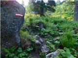 Smučišče Koralpe (Koralpenparkplatz) - Seespitz (Koralpe)