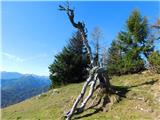 Hochstein (1741 m) in Windgrube (1809 m) Utrinek.