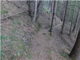 Rudnik v Topli - Kordeževa glava (Peca)