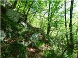 Planina Polog - Žlejžn