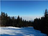 Zgornja Bistrica (Center Vintgar) - Veliki vrh (na Pohorju)