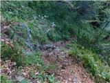 Lučka Bela (Za Loncem) - Kocbekov dom na Korošici