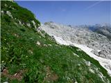 Planina Zapleč - Krn