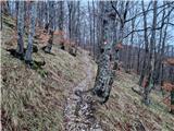 Poklon - Krog (Učka)