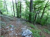 Planina Polog - Žlejžn