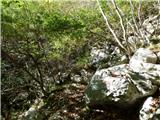 Tam na Meji (Beli potok) - Planina Nizki vrh