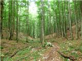 Kal-Koritnica - Lipnik (nad Lepeno)