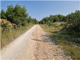 Crveni Vrh - Markovac
