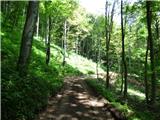 Jesenovo - Črni vrh (Čemšeniška planina)