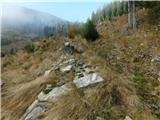 Parkirišče Hoyer (Neuhofgraben) - Lärchkogel (Glinska planina / Gleinalpe)