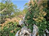 Crveni Vrh - Markovac
