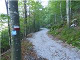 Kapelica sv. Ane - Planina Nizki vrh