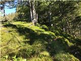 Small path