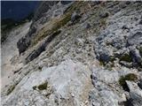 Bavšica - Bavški Grintavec