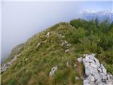 Planina Zapleč - Kal (greben Krnčice)