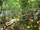 Hotel Boka - Planina Baban