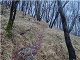 Poklon - Krog (Učka)