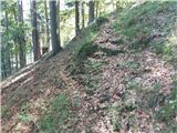 Log - Črni vrh