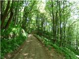 Jesenovo - Črni vrh (Čemšeniška planina)