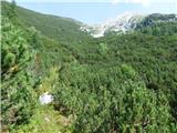 Soča - Vrh Ruš