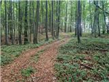 Stojdraga (Glažuta) - Tuščak (Žumberačka gora)