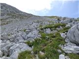 Coot Parking Lot - Velika Baba (Kanin)