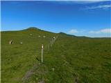 Oberfresen (Brendlwald) - Krakaberg (Golica / Koralpe)