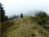 Parkirišče Hoyer (Neuhofgraben) - Speikkogel (Glinska planina / Gleinalpe)