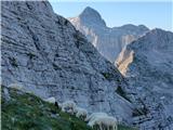 Triglav