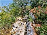 Crveni Vrh - Markovac