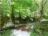Planina Polog - Izvir Tolminke