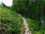 Panoramska restavracija Oben - Alte Bleiburger Hütte