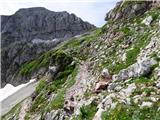 Planina Zapleč - Krn