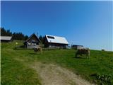 Planina Sohlenalm.