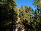 Planina Ravne - Veliki vrh (Veža)