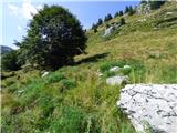 Žaga - Velika Baba (Kanin)