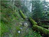 Parkirišče Hoyer (Neuhofgraben) - Lärchkogel (Glinska planina / Gleinalpe)