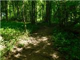 Žejno (Foto Ivanšek) - Sveti Vid (Šentviška gora)