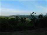 View.