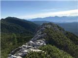Pogled nazaj