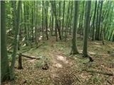 Stojdraga (Glažuta) - Tuščak (Žumberačka gora)