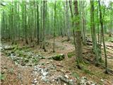 Kal-Koritnica - Lipnik (nad Lepeno)