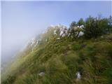 Planina Zapleč - Kal (greben Krnčice)