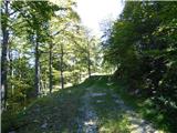 Kapelica sv. Ane - Planina Nizki vrh