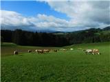 Reichenfels (most čez Labotnico / Lavant) - Peterer Hütte