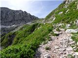 Planina Zapleč - Krn