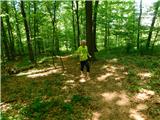 Žejno (Foto Ivanšek) - Sveti Vid (Šentviška gora)