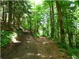 Jesenovo - Črni vrh (Čemšeniška planina)